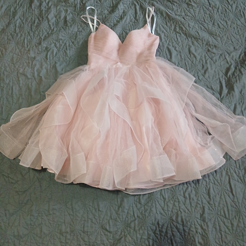 Terani Couture Blush Pink Dress